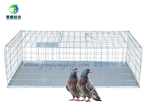 景隆JL-2020折叠鸽子笼 家用捕鸟笼捕鸽笼 景隆JL-2020折叠鸽子笼 家用捕鸟笼捕鸽笼