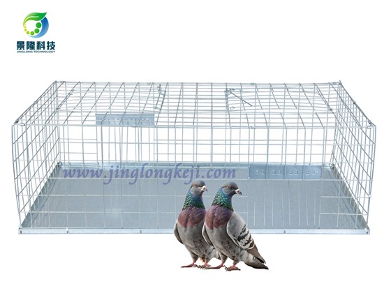 鸽子笼 鸽子笼